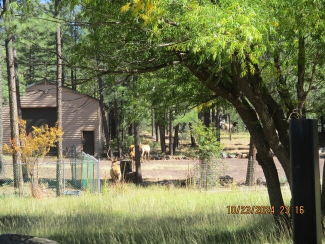 Primary Photo - 3850 W White Mountain Blvd