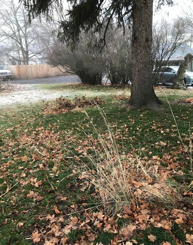 Building Photo - 213 N Almon St