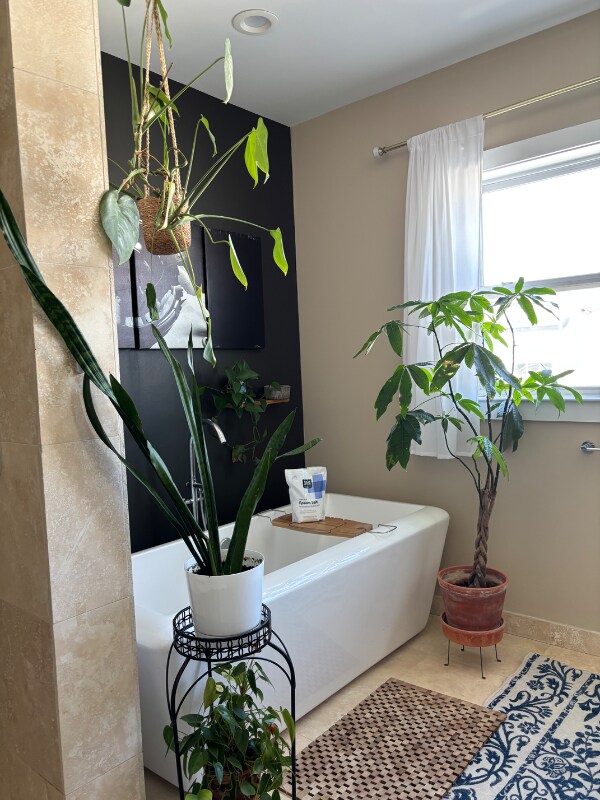 Building Photo - 527 Titan St