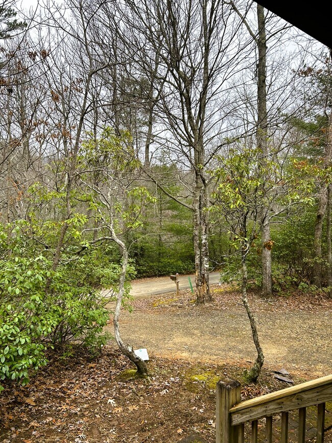 Building Photo - 233 Wildwind Ln