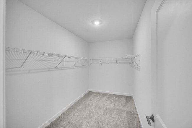 Building Photo - 3028 Cedar Pl