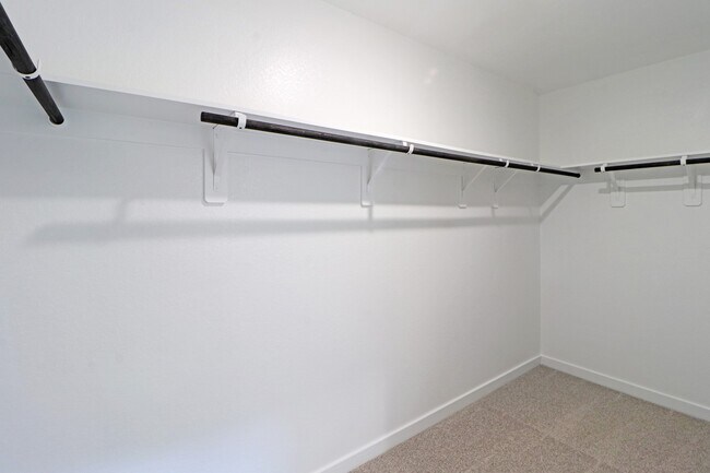 Building Photo - 2611 Cactus Rnch Ln