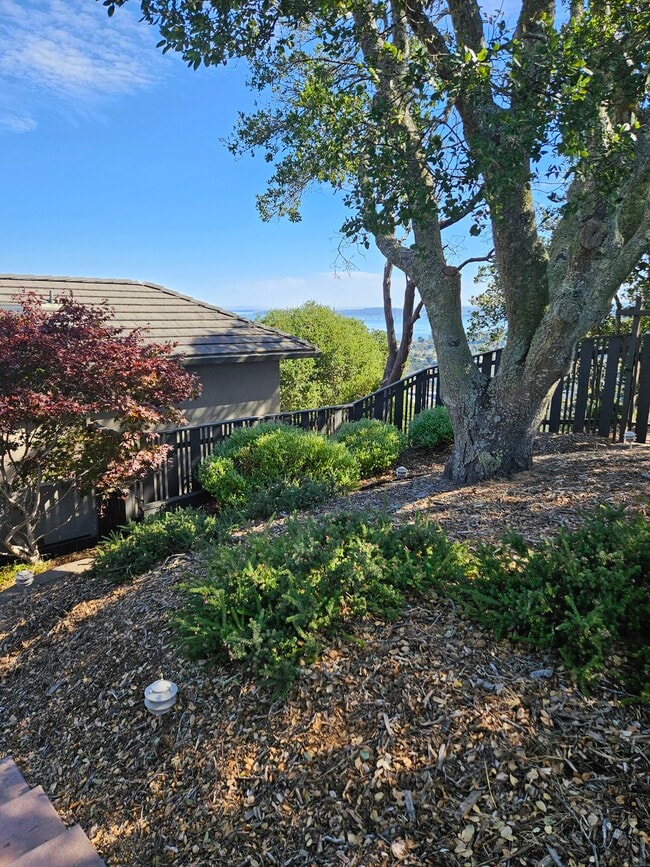 Building Photo - 1202 Meadowcrest Dr