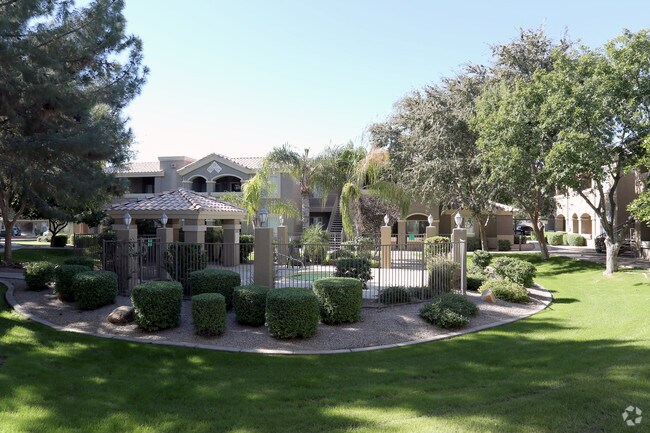 Courtyard - Springs at Alta Mesa