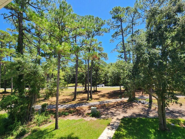 Building Photo - Stunning new executive home in Gulf Shores!