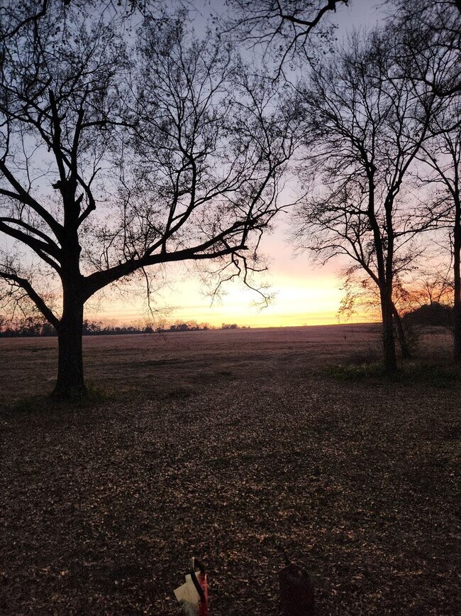 Building Photo - 3 bedroom 2 bath with plenty of space inside and out and gorgeous views!