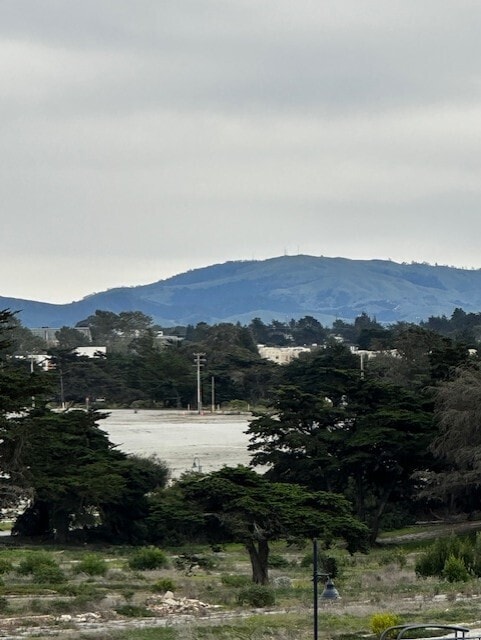 View from terrace - 137 8th St