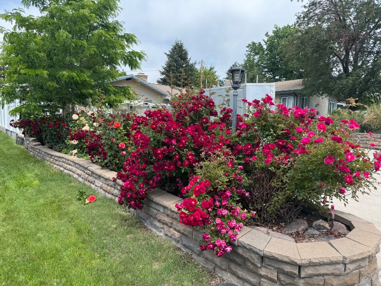 Building Photo - 1653 Tabor St