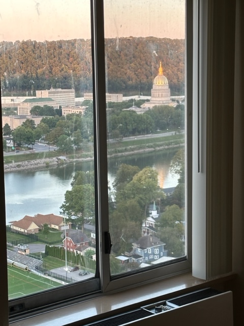 view from bedroom - 1800 Roundhill Rd