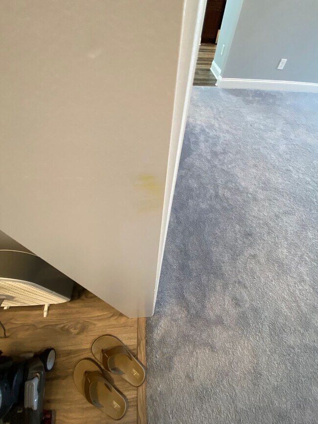 Building Photo - 70 Rachel Avenue