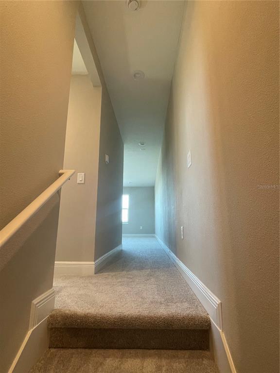 Building Photo - 6408 Wekiwa St