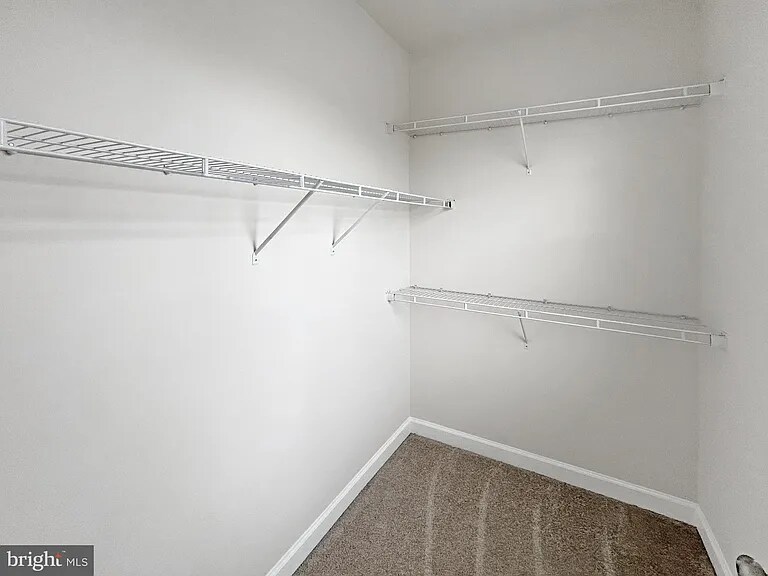 Building Photo - 3632 Holborn Pl