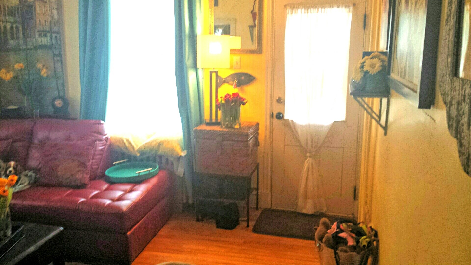 Living room entrance - 77 Waterloo Avenue