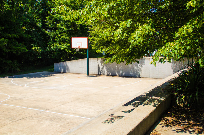 Outdoor Basketball Court - Millennium Apartments