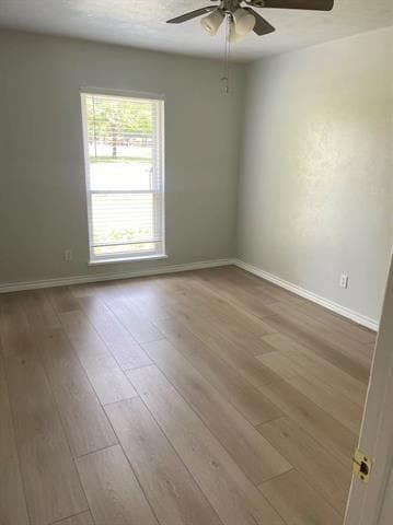 Building Photo - 1101 San Antonio Ct