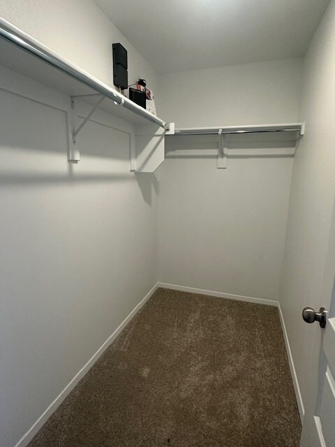 Building Photo - 3402 Adoration St