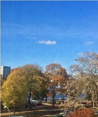 Building Photo - 8 Otis Pl