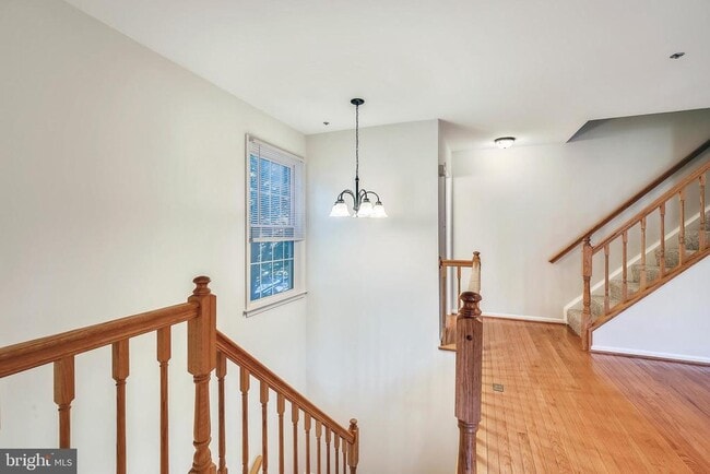 Building Photo - 11801 Rockaway Ln