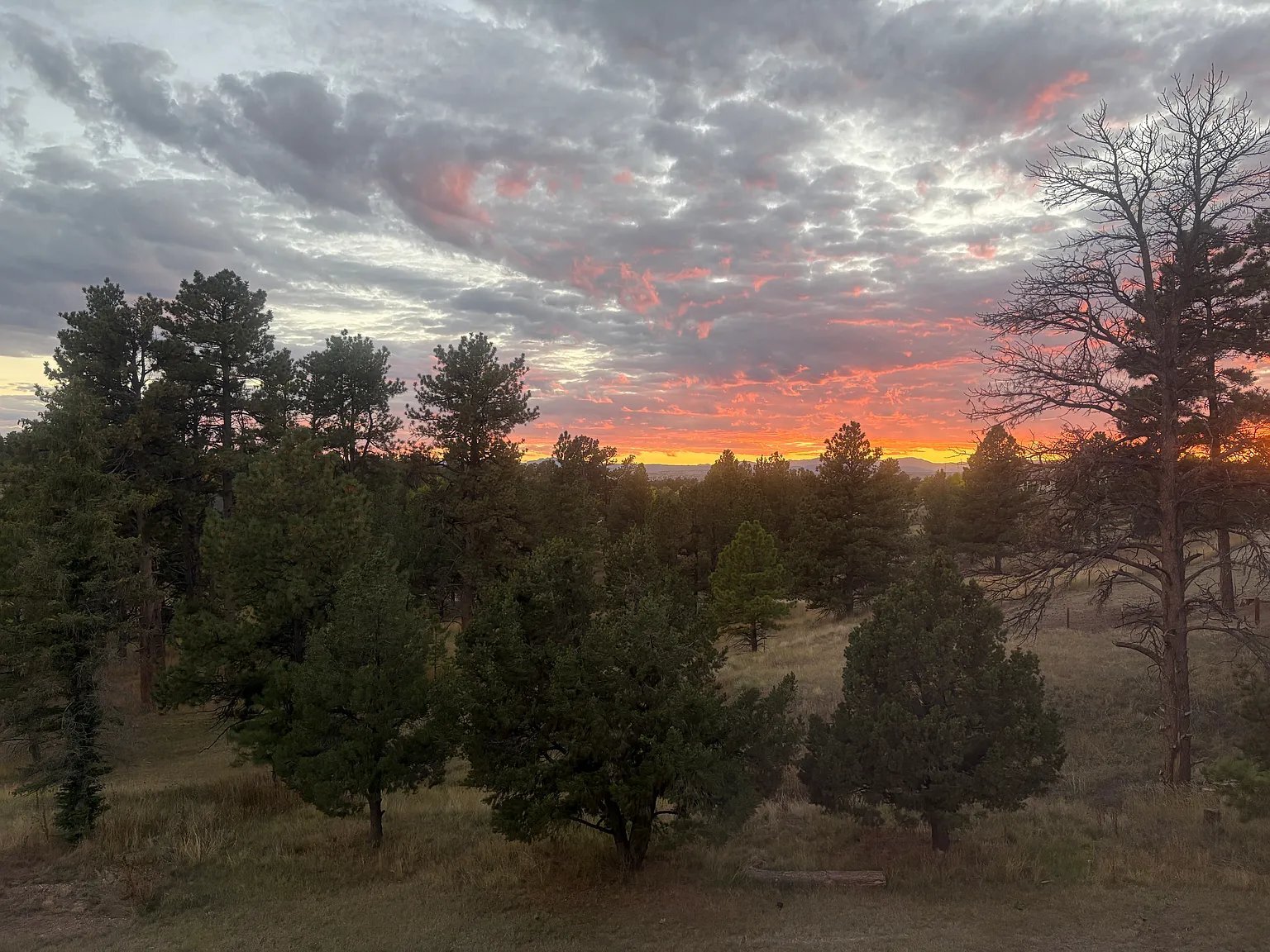 Building Photo - 8374 Piney Creek Rd