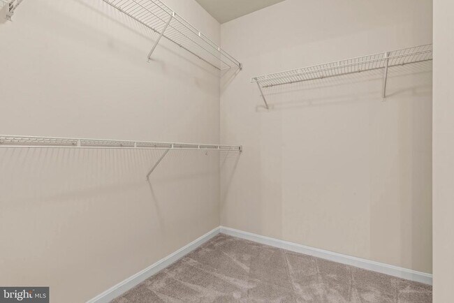 Building Photo - 4551 Strutfield Ln