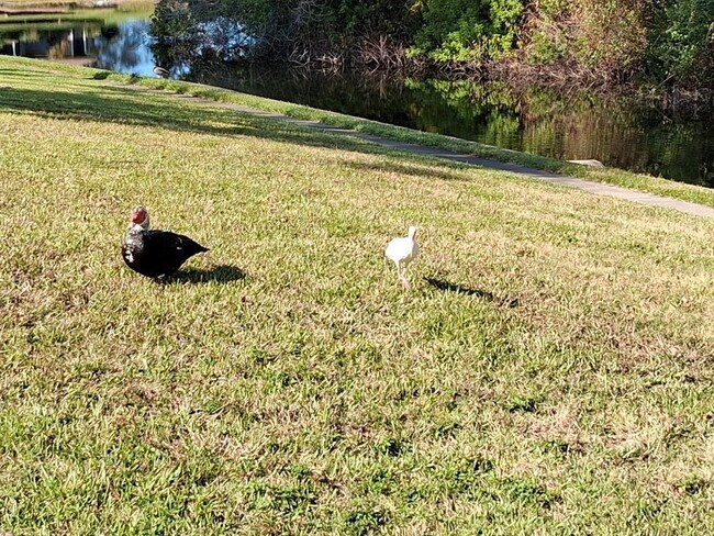 Building Photo - 7737 Eureka Dr