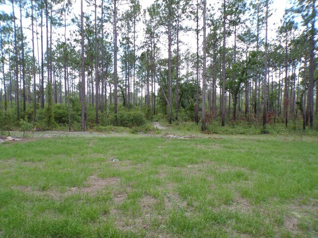 Building Photo - Marion Oaks Home