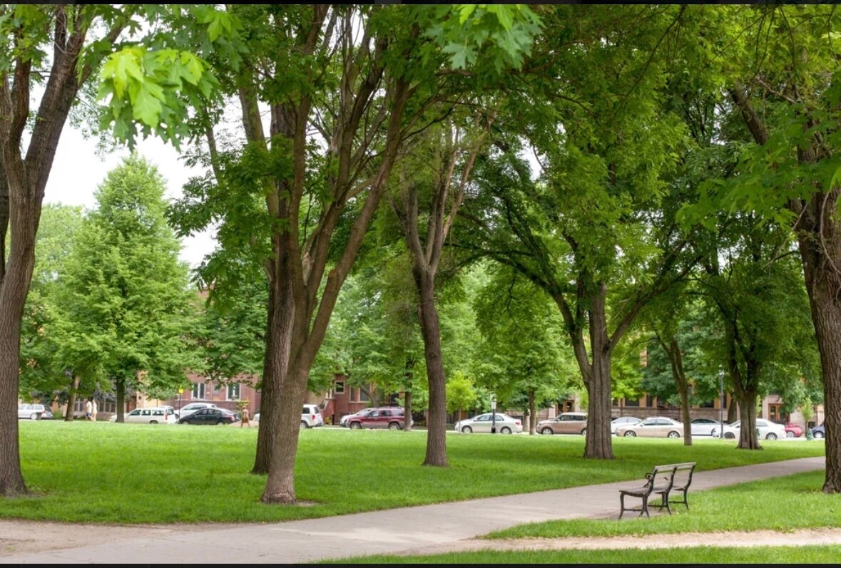 Building Photo - 2117 N Kedzie Blvd