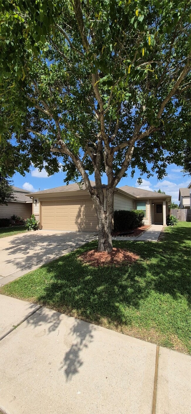 Building Photo - 12014 Chelsea Elm Ct