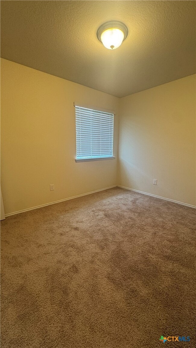 Building Photo - 5305 Fenton Ln