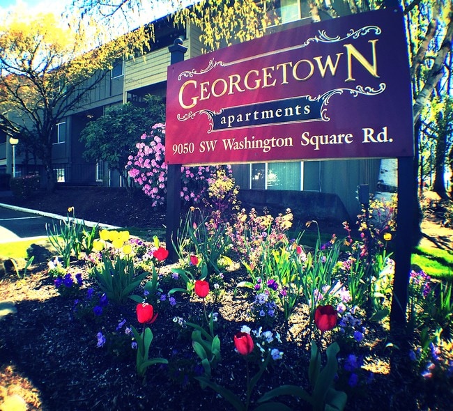 Primary Photo - Georgetown Manor Apartments