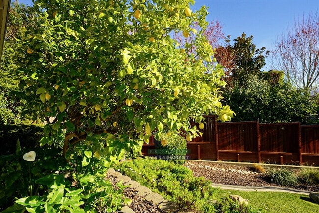 Building Photo - 62 Dunfries Terrace