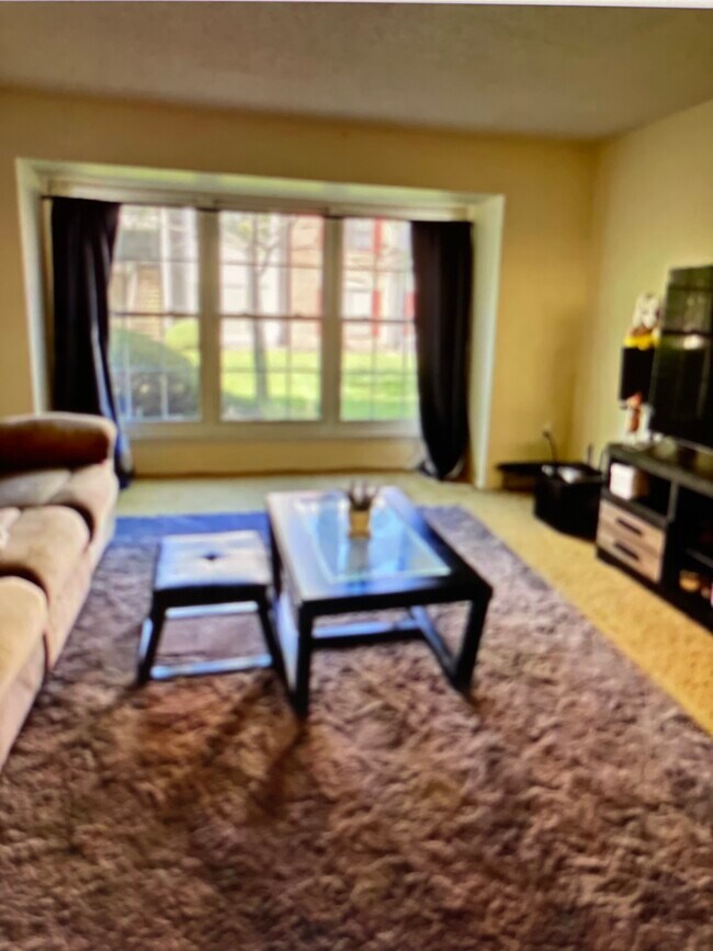 Living room - 6 Chamberlin Ct