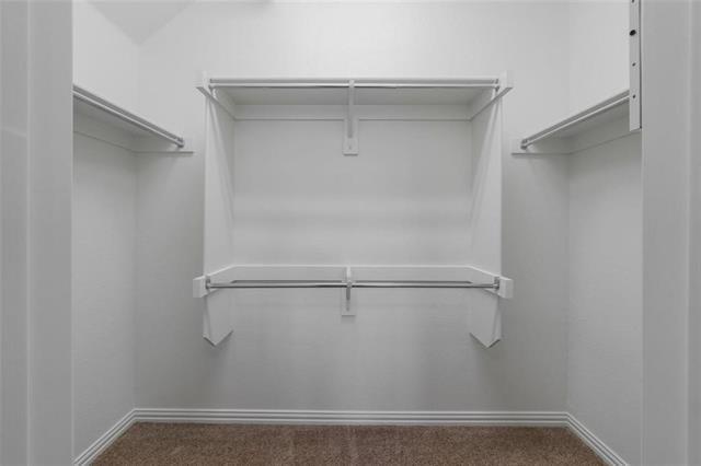 Building Photo - 2233 Caniesto St