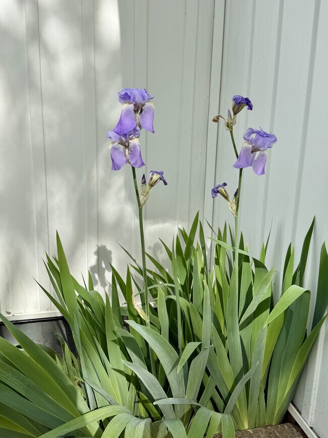 Building Photo - 740 Finn Long Rd