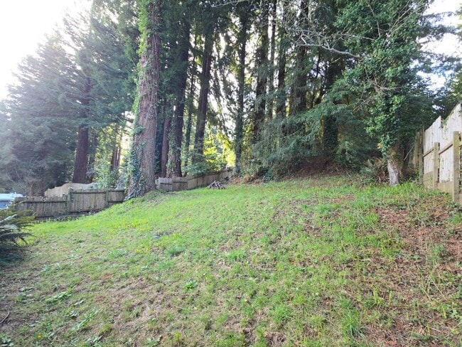 Building Photo - 3BD Sunny Brae home nestled in the Redwoods!