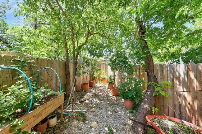 Building Photo - 3402 Dolphin Dr