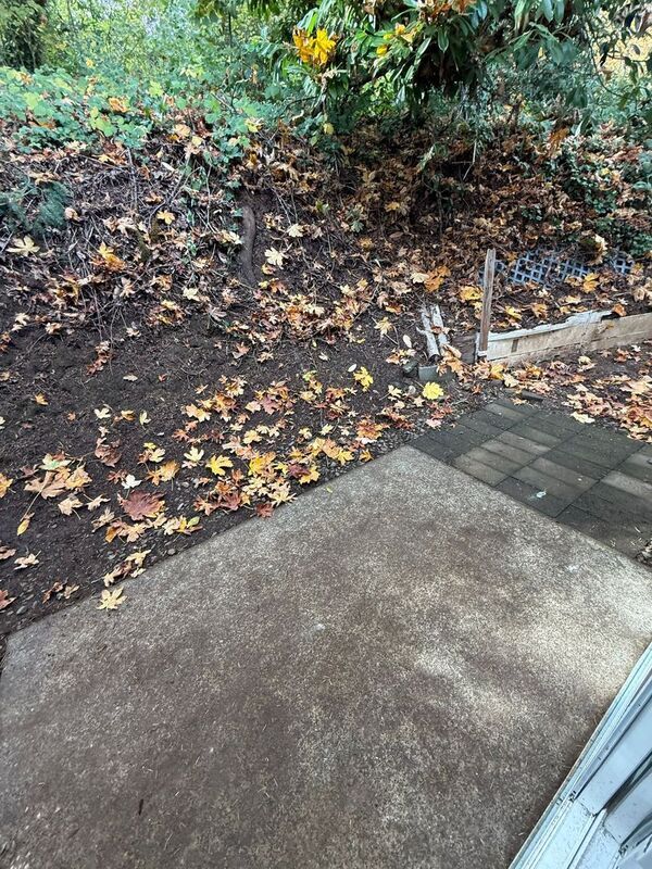 Building Photo - 445 Senate St NW