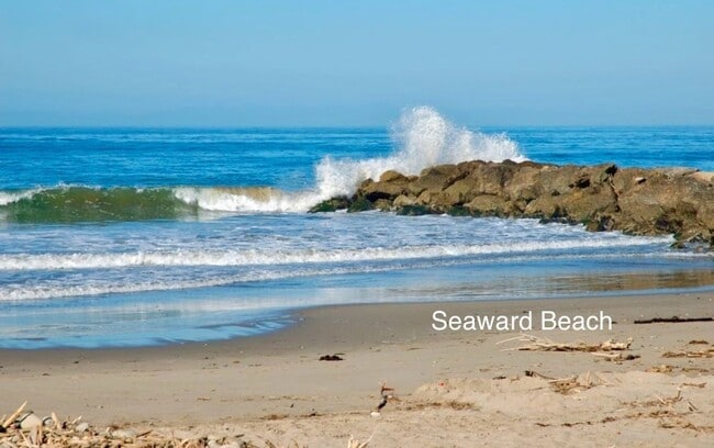 Building Photo - Quintessential Ventura 1 bed rear unit with LARGE, PRIVATE, BEAUTIFUL OUTDOOR LIVING AREA