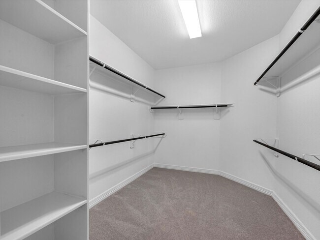 Building Photo - 2107 Jitterbug Ln