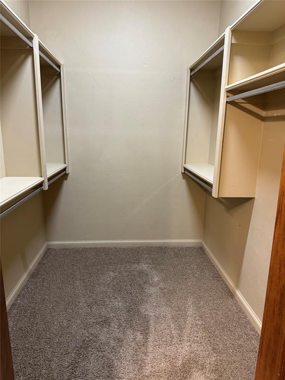 Building Photo - 3320 Enclave Ln