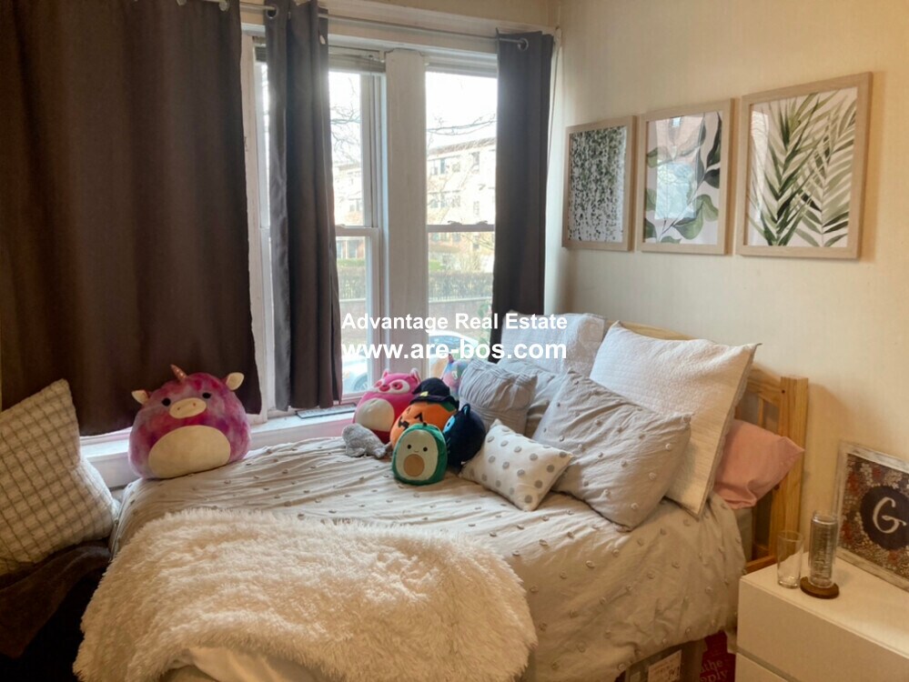 Building Photo - 62 Egmont St