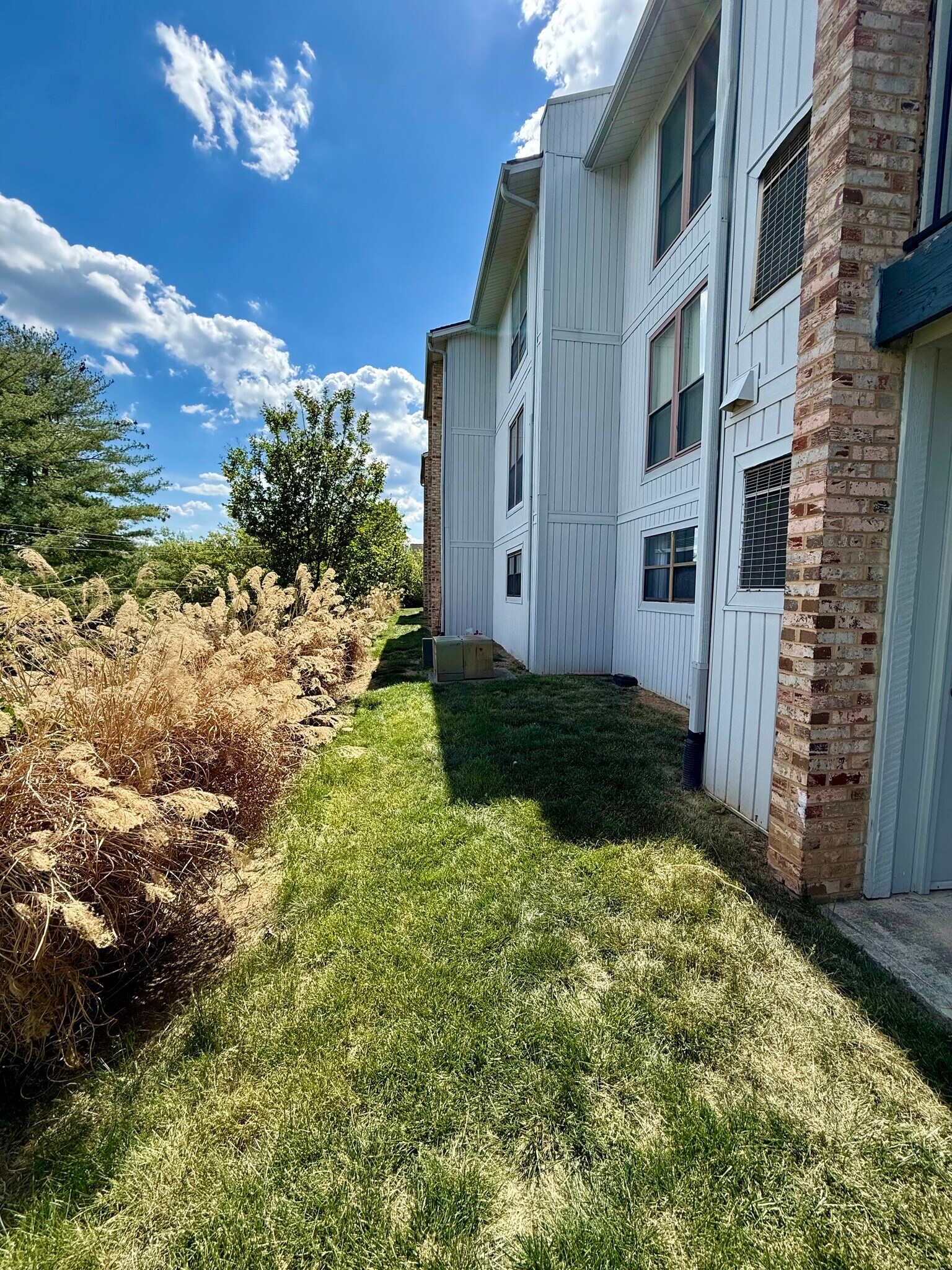 Building Photo - 3551 Timberline Trl