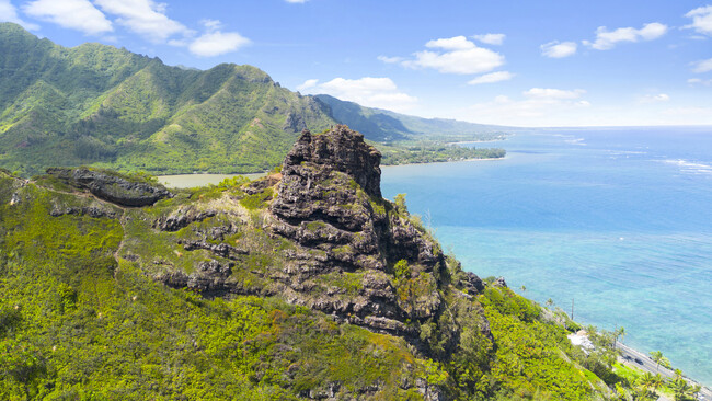 Building Photo - Makaua Village