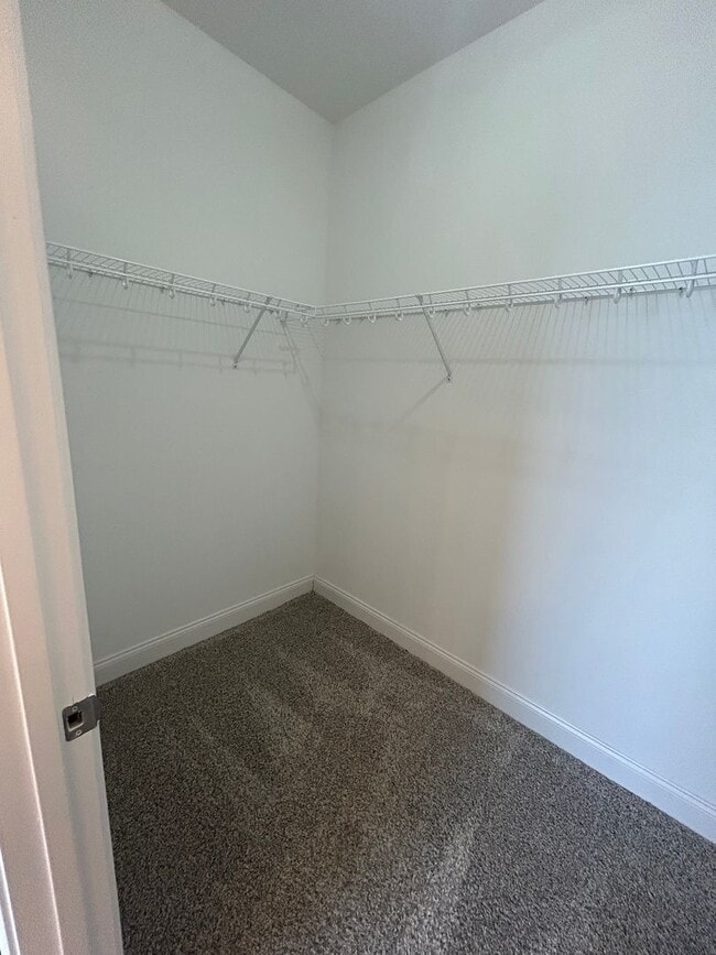 Building Photo - Beautiful 4BR Home in Athens with Bonus Room & Fenced Yard