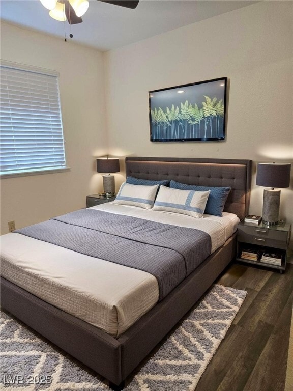 Building Photo - 8817 Pavia Dr