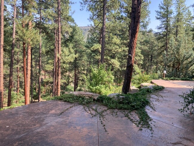 Building Photo - Custom home in the sought-after Edgemont H...