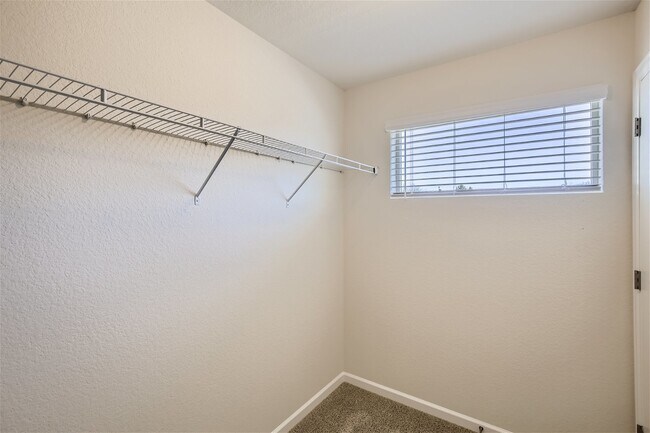Building Photo - Beautiful SW Longmont Townhome