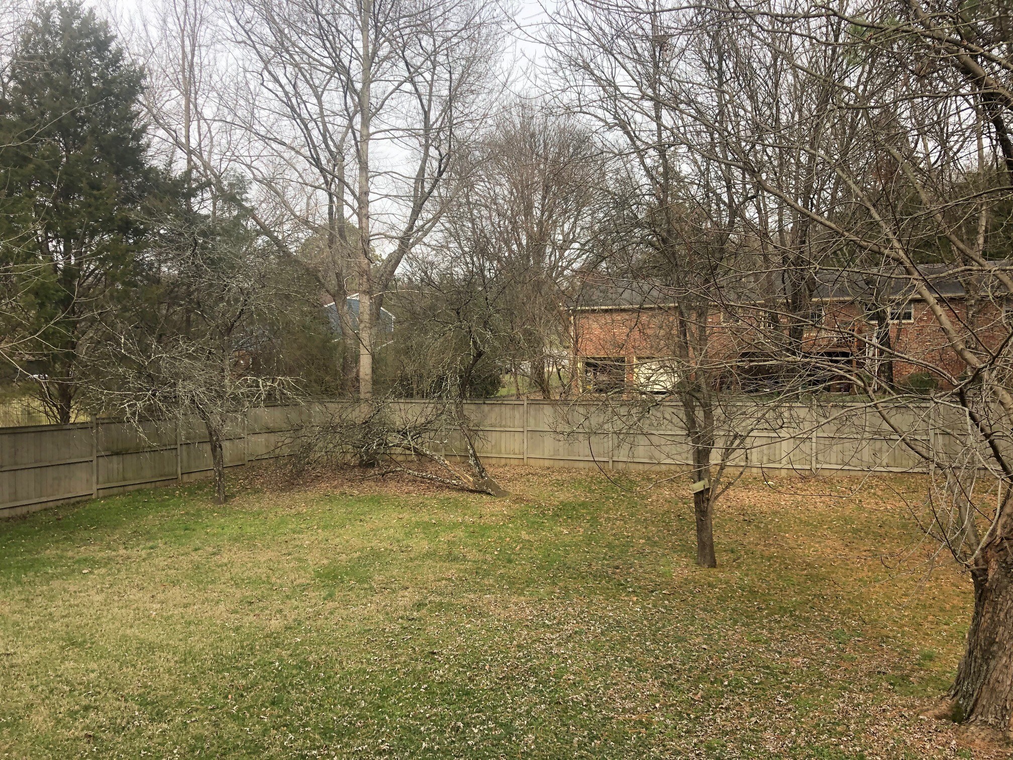 Fenced in backyard - 93 Berry Hill Dr