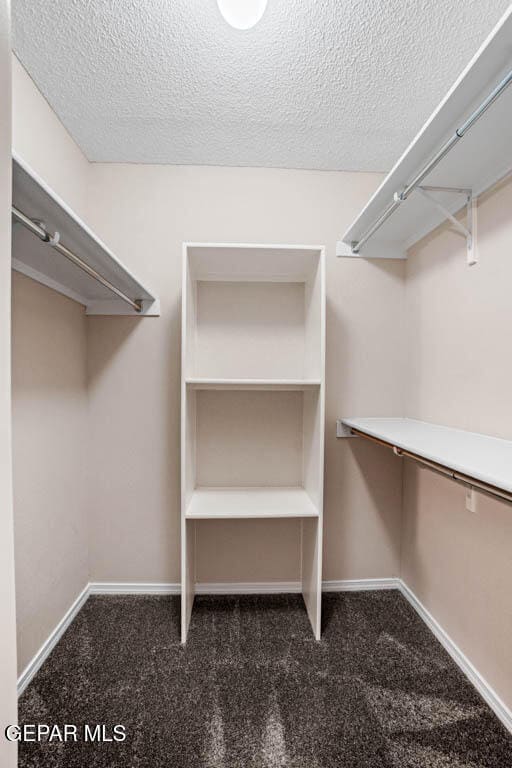Building Photo - 14041 Sandy Rock Dr