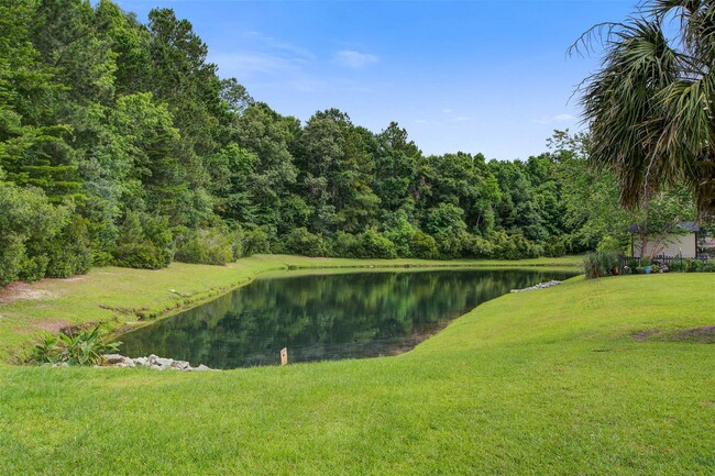Building Photo - 311 Cabrill Drive, Charleston, SC 29414 - ...